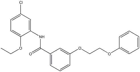 N-(5-chloro-2-ethoxyphenyl)-3-(2-phenoxyethoxy)benzamide 结构式