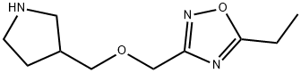 5-乙基-3-((吡咯烷-3-基甲氧基)甲基)-1,2,4-噁二唑 结构式