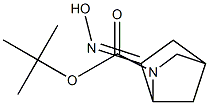 6-(羟基亚氨基)-2-氮杂双环[2.2.1]庚烷-2-羧酸叔丁酯 结构式