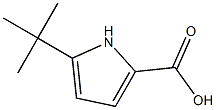 5-(叔丁基)-1H-吡咯-2-羧酸 结构式