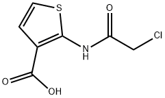 2-(2-CHLOROACETAMIDO)THIOPHENE-3-CARBOXYLIC ACID 结构式