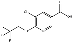 5-氯-6-(2,2,2-三氟乙氧基)吡啶-3-羧酸 结构式