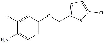 4-[(5-chlorothiophen-2-yl)methoxy]-2-methylaniline 结构式