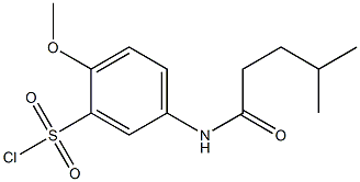 2-methoxy-5-(4-methylpentanamido)benzene-1-sulfonyl chloride 结构式