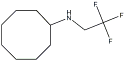 N-(2,2,2-trifluoroethyl)cyclooctanamine 结构式