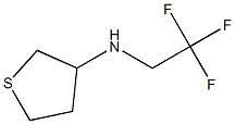 N-(2,2,2-trifluoroethyl)tetrahydrothiophen-3-amine 结构式