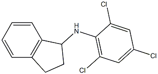 N-(2,4,6-trichlorophenyl)-2,3-dihydro-1H-inden-1-amine 结构式