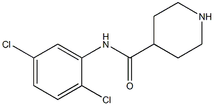 N-(2,5-dichlorophenyl)piperidine-4-carboxamide 结构式