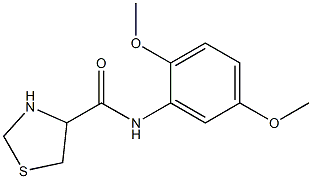 N-(2,5-dimethoxyphenyl)-1,3-thiazolidine-4-carboxamide 结构式