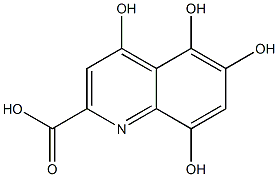 4,5,6,8-四羟基喹啉-2-羧酸 结构式