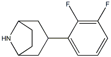 3-(2,3-difluorophenyl)-8-azabicyclo[3.2.1]octane 结构式