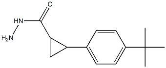 2-(4-TERT-BUTYLPHENYL)CYCLOPROPANECARBOHYDRAZIDE 结构式