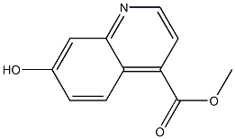 7-Hydroxy-quinoline-4-carboxylic acid methyl ester 结构式