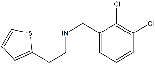 [(2,3-dichlorophenyl)methyl][2-(thiophen-2-yl)ethyl]amine 结构式