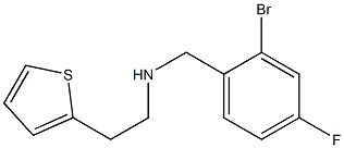 [(2-bromo-4-fluorophenyl)methyl][2-(thiophen-2-yl)ethyl]amine 结构式