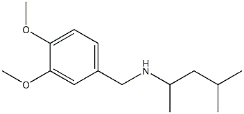 [(3,4-dimethoxyphenyl)methyl](4-methylpentan-2-yl)amine 结构式