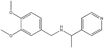 [(3,4-dimethoxyphenyl)methyl][1-(pyridin-4-yl)ethyl]amine 结构式