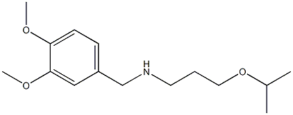 [(3,4-dimethoxyphenyl)methyl][3-(propan-2-yloxy)propyl]amine 结构式