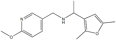 [1-(2,5-dimethylfuran-3-yl)ethyl][(6-methoxypyridin-3-yl)methyl]amine 结构式