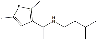 [1-(2,5-dimethylthiophen-3-yl)ethyl](3-methylbutyl)amine 结构式