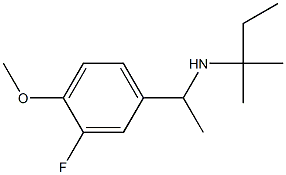 [1-(3-fluoro-4-methoxyphenyl)ethyl](2-methylbutan-2-yl)amine 结构式