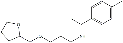 [1-(4-methylphenyl)ethyl][3-(oxolan-2-ylmethoxy)propyl]amine 结构式