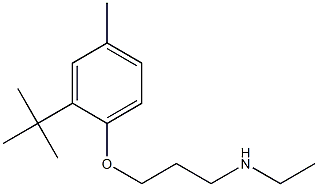 [3-(2-tert-butyl-4-methylphenoxy)propyl](ethyl)amine 结构式