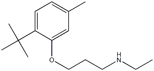 [3-(2-tert-butyl-5-methylphenoxy)propyl](ethyl)amine 结构式