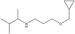 [3-(cyclopropylmethoxy)propyl](3-methylbutan-2-yl)amine 结构式
