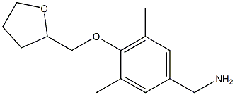 [3,5-dimethyl-4-(oxolan-2-ylmethoxy)phenyl]methanamine 结构式