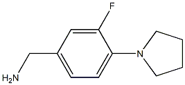 [3-fluoro-4-(pyrrolidin-1-yl)phenyl]methanamine 结构式