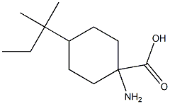 1-amino-4-(1,1-dimethylpropyl)cyclohexanecarboxylic acid 结构式