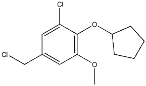 1-chloro-5-(chloromethyl)-2-(cyclopentyloxy)-3-methoxybenzene 结构式