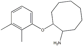 2-(2,3-dimethylphenoxy)cyclooctan-1-amine 结构式