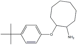 2-(4-tert-butylphenoxy)cyclooctan-1-amine 结构式