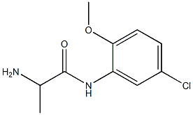 2-amino-N-(5-chloro-2-methoxyphenyl)propanamide 结构式