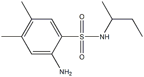 2-amino-N-(butan-2-yl)-4,5-dimethylbenzene-1-sulfonamide 结构式