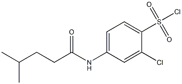 2-chloro-4-(4-methylpentanamido)benzene-1-sulfonyl chloride 结构式