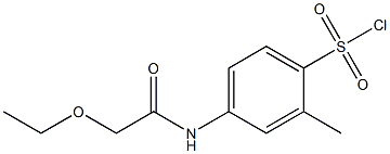 4-(2-ethoxyacetamido)-2-methylbenzene-1-sulfonyl chloride 结构式