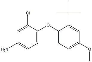 4-(2-tert-butyl-4-methoxyphenoxy)-3-chloroaniline 结构式