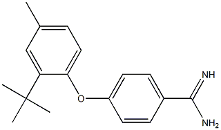 4-(2-tert-butyl-4-methylphenoxy)benzene-1-carboximidamide 结构式