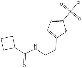 5-{2-[(cyclobutylcarbonyl)amino]ethyl}thiophene-2-sulfonyl chloride 结构式