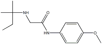 N-(4-methoxyphenyl)-2-[(2-methylbutan-2-yl)amino]acetamide 结构式