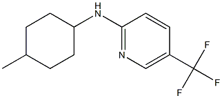 N-(4-methylcyclohexyl)-5-(trifluoromethyl)pyridin-2-amine 结构式