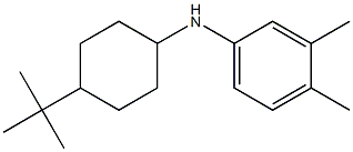 N-(4-tert-butylcyclohexyl)-3,4-dimethylaniline 结构式