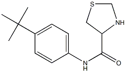 N-(4-tert-butylphenyl)-1,3-thiazolidine-4-carboxamide 结构式