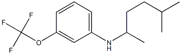 N-(5-methylhexan-2-yl)-3-(trifluoromethoxy)aniline 结构式