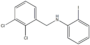 N-[(2,3-dichlorophenyl)methyl]-2-iodoaniline 结构式