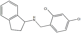 N-[(2,4-dichlorophenyl)methyl]-2,3-dihydro-1H-inden-1-amine 结构式