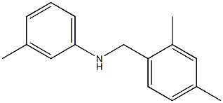 N-[(2,4-dimethylphenyl)methyl]-3-methylaniline 结构式